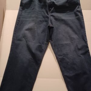Terra & SKY 24W dark denim straight leg Jeans